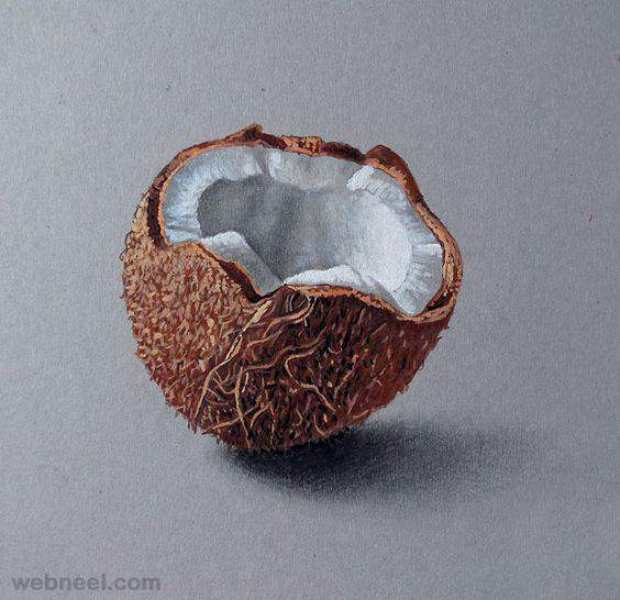 realistic colored pencil drawing of a coconut with sharp edges