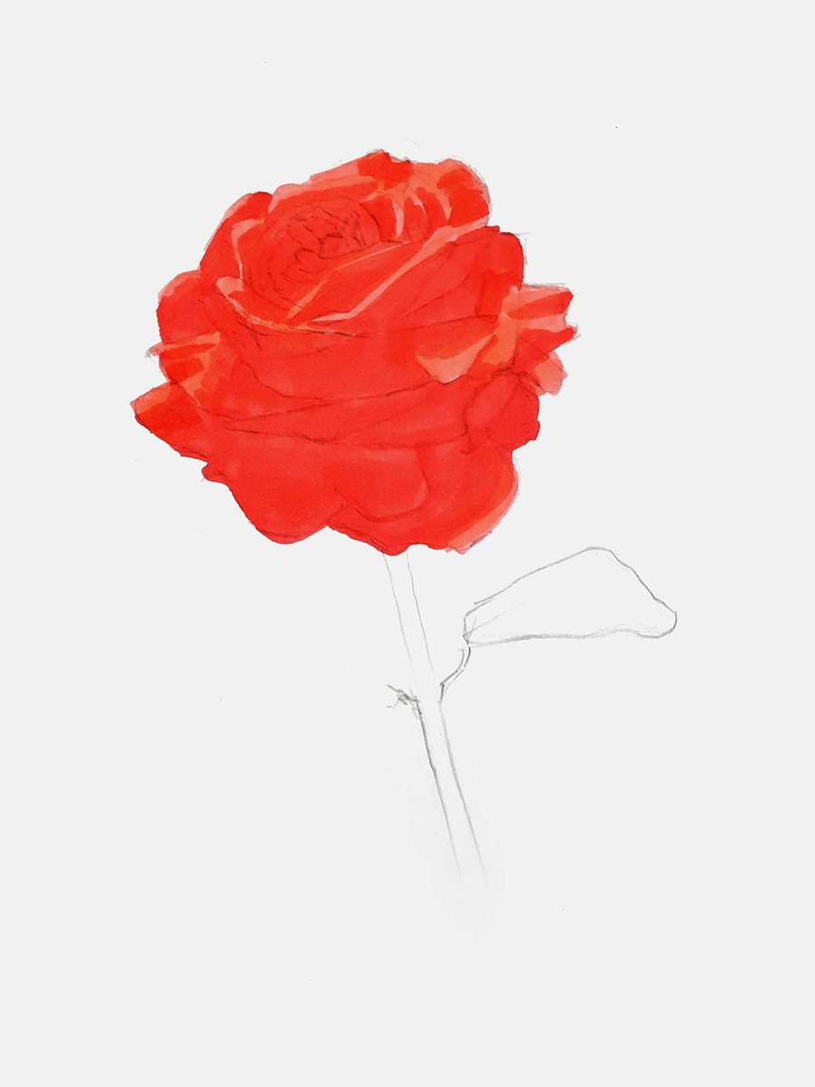 Color the remainder of the rose petals red, just as a base for the shading.
