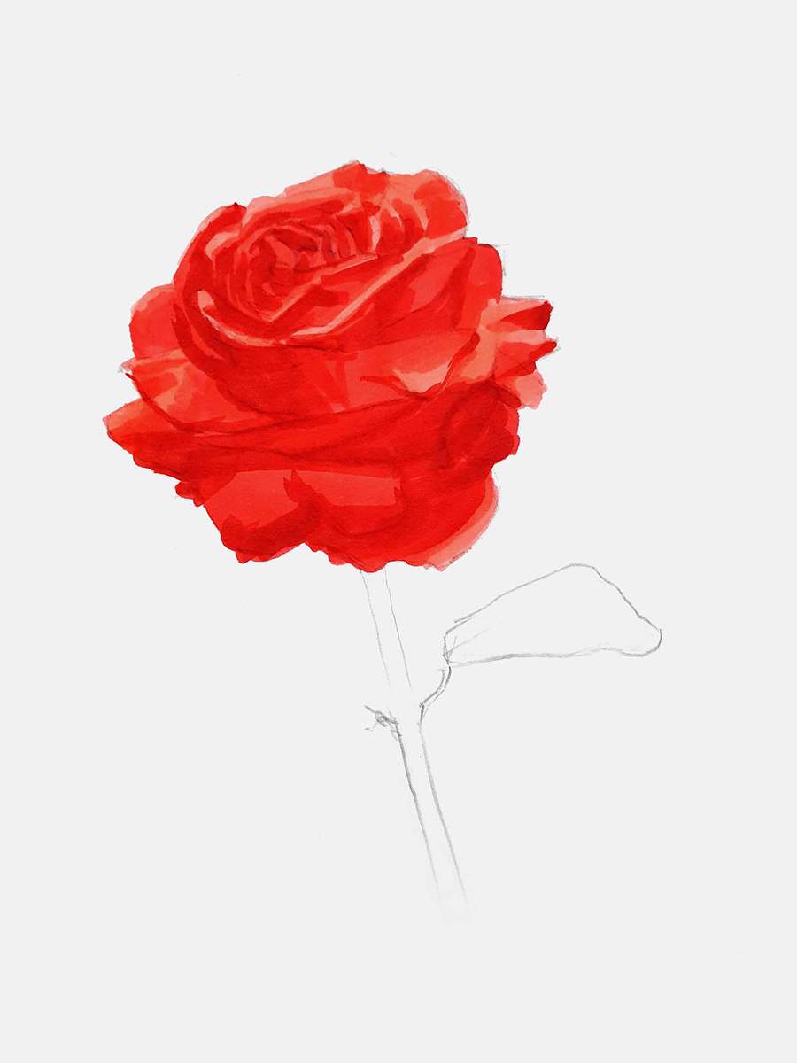 Add shading in between the petals and where there is texture on the petals of the rose