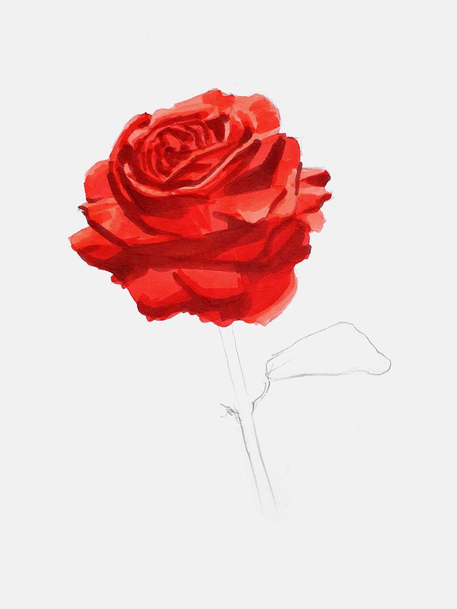 add darker red shading in between the rose petals