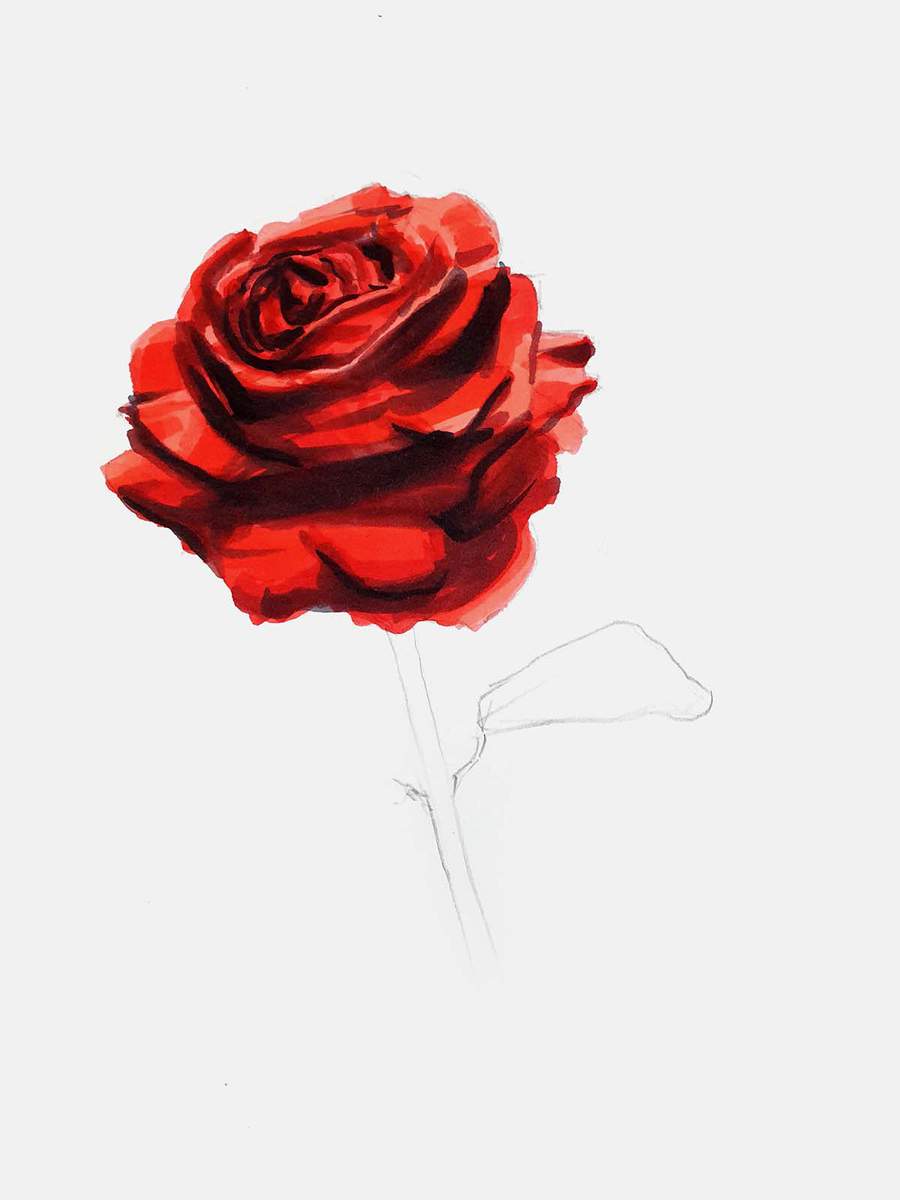 use dark grey and a tiny bit of black to add even darker shading and shadows in between the rose petals. Be careful not to make these deep shadows too dark.