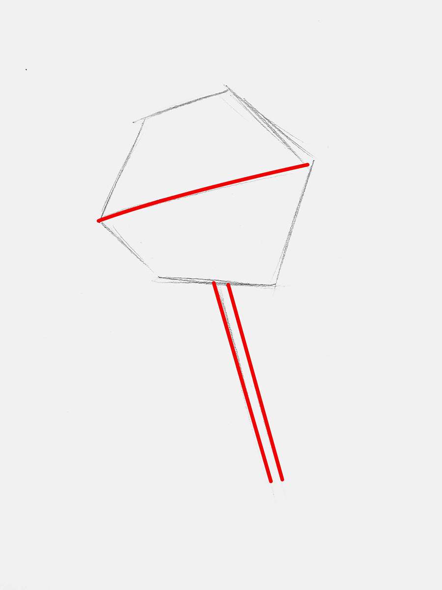 add the stem to the rose and sketch a dividing line on the rose head