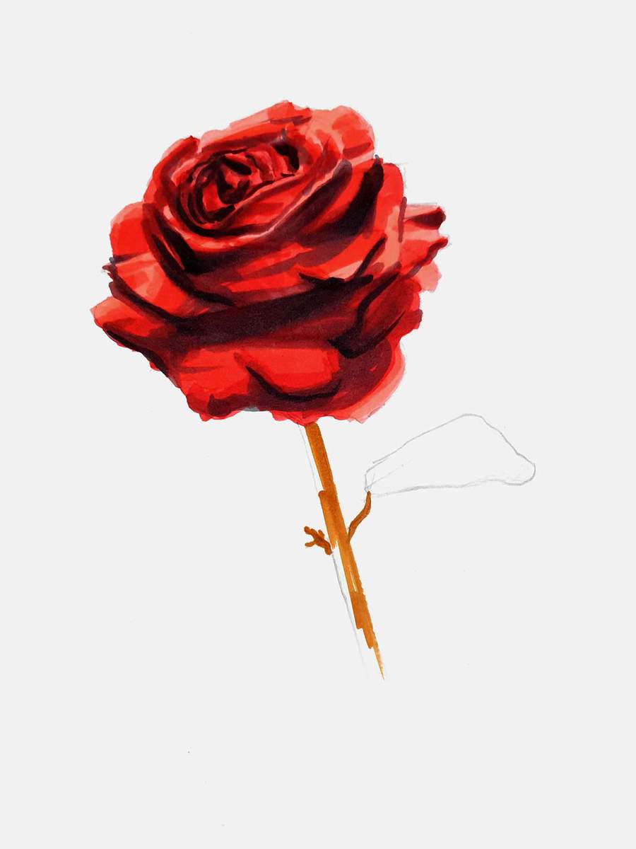use a roange brown to color the stem of the rose