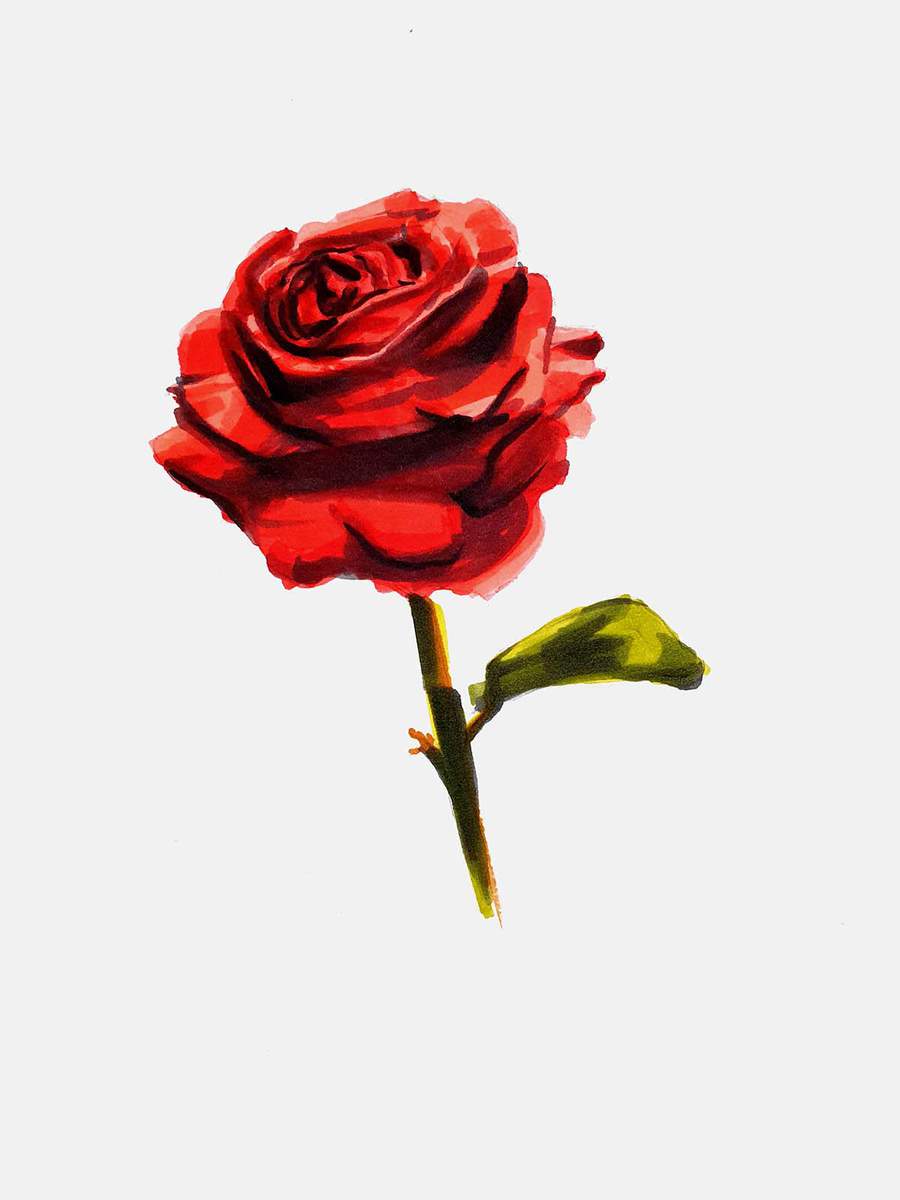 use a light moss green to color the little leaf on the stem, and use a darker moss green to add shading to the stem and the leaf of the rose.