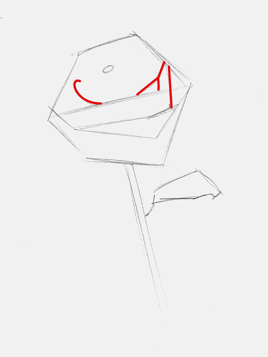 add a few more construction lines to help sketch each petal.