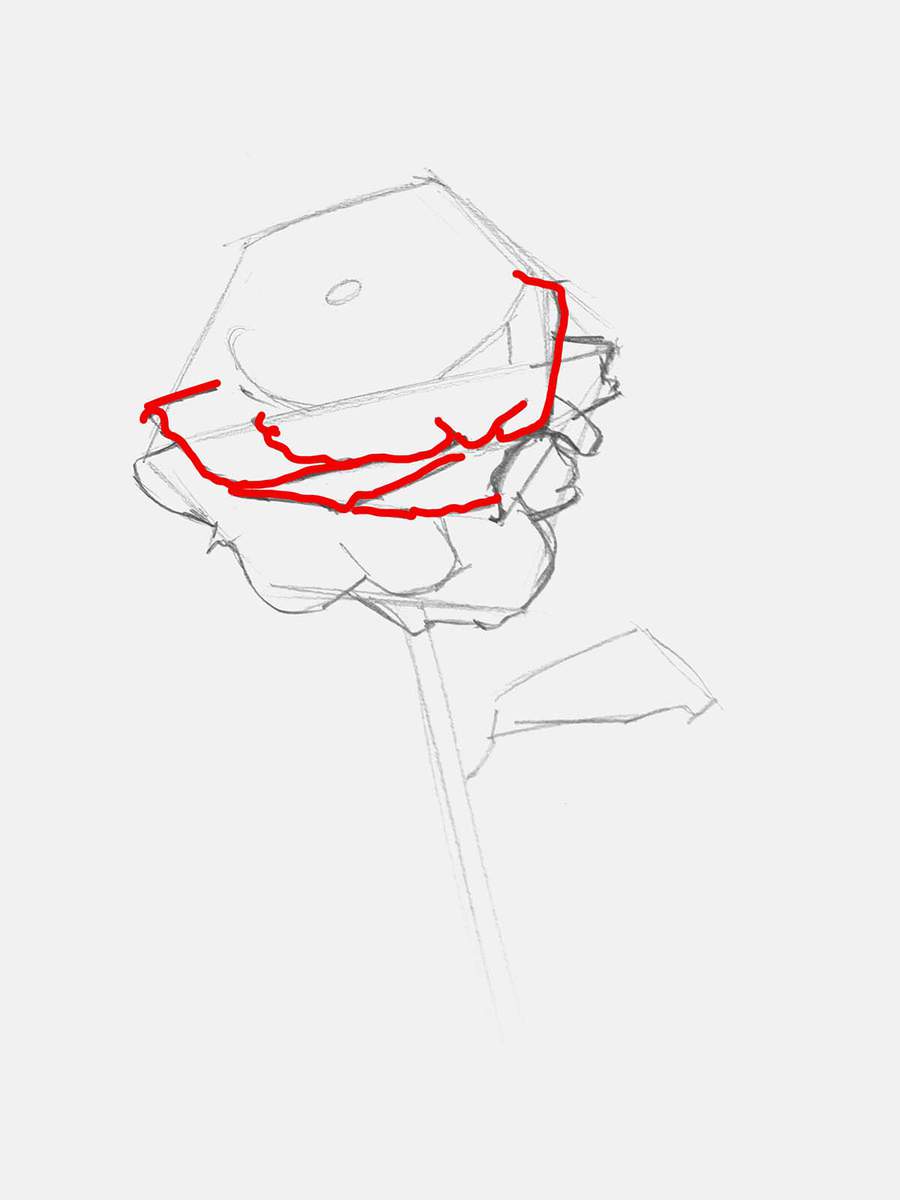 use the guiding lines to add another row of rose petals above the first one.