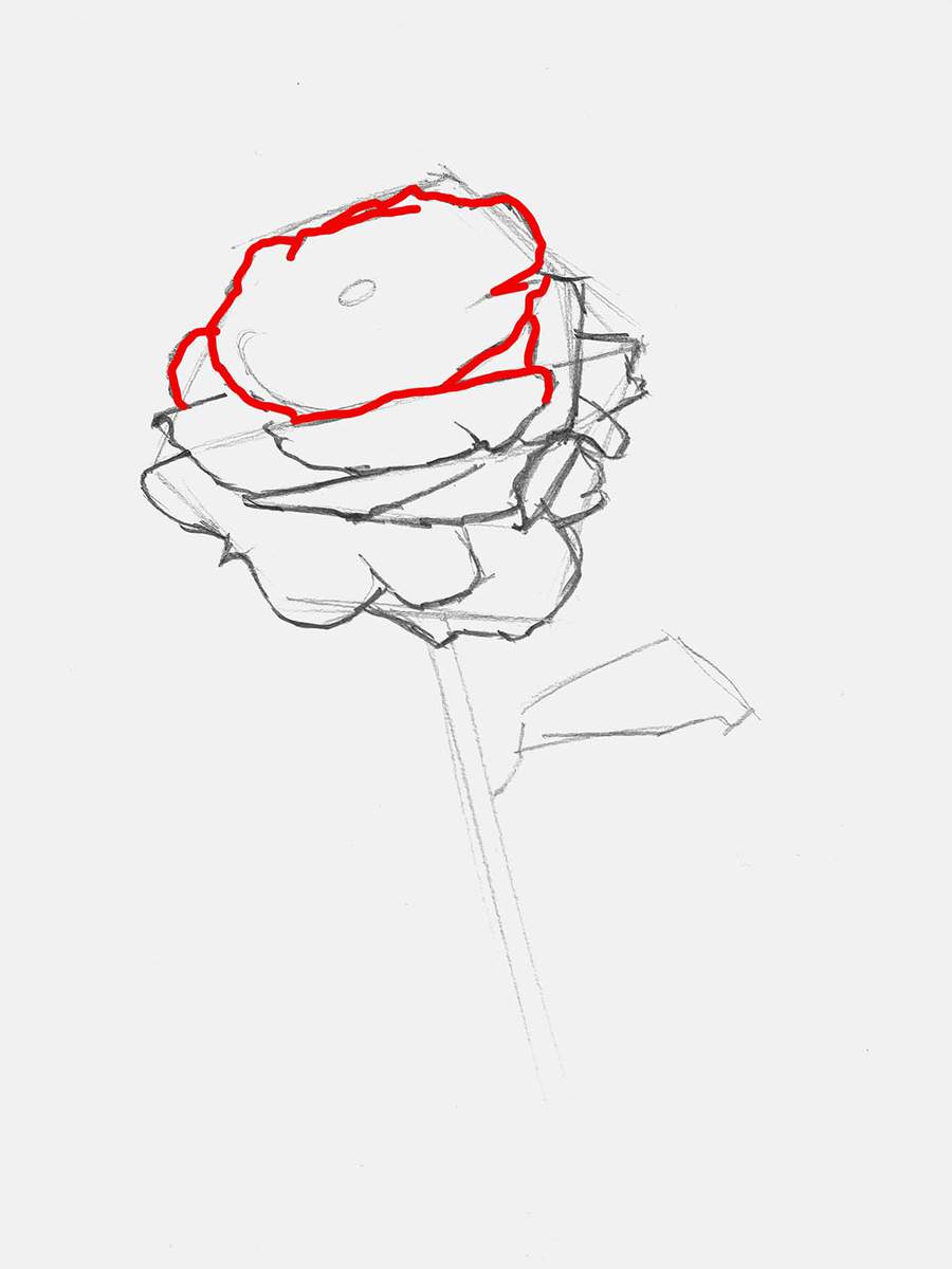 sketch the rose petals around the center of the rose.