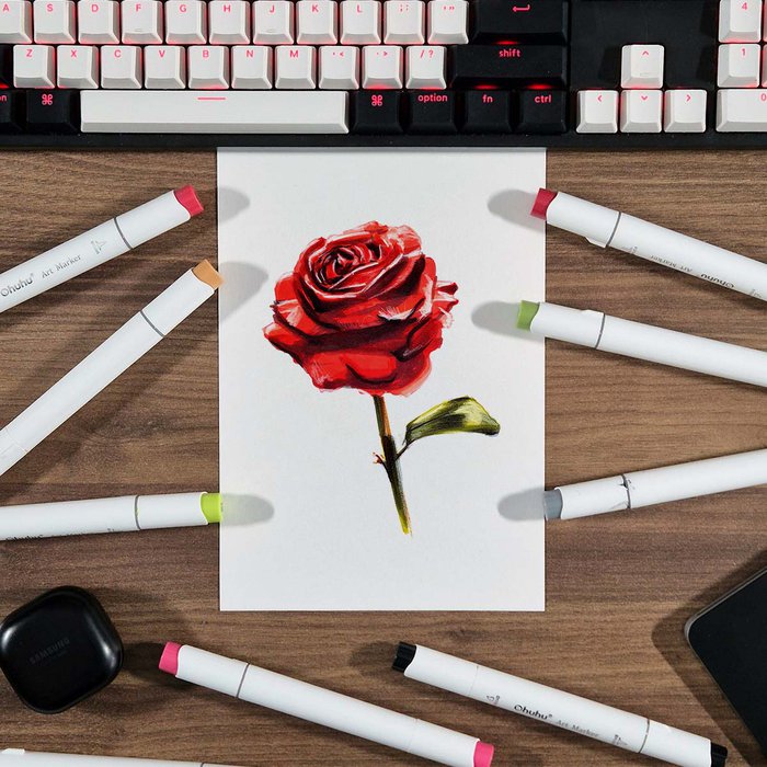beautiful realistic red rose drawing
