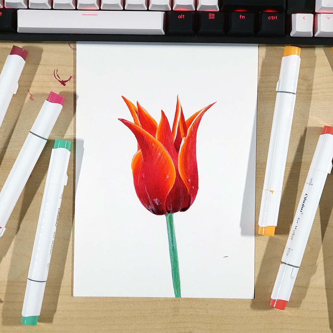 Tulip Sketch Easy With Pencil