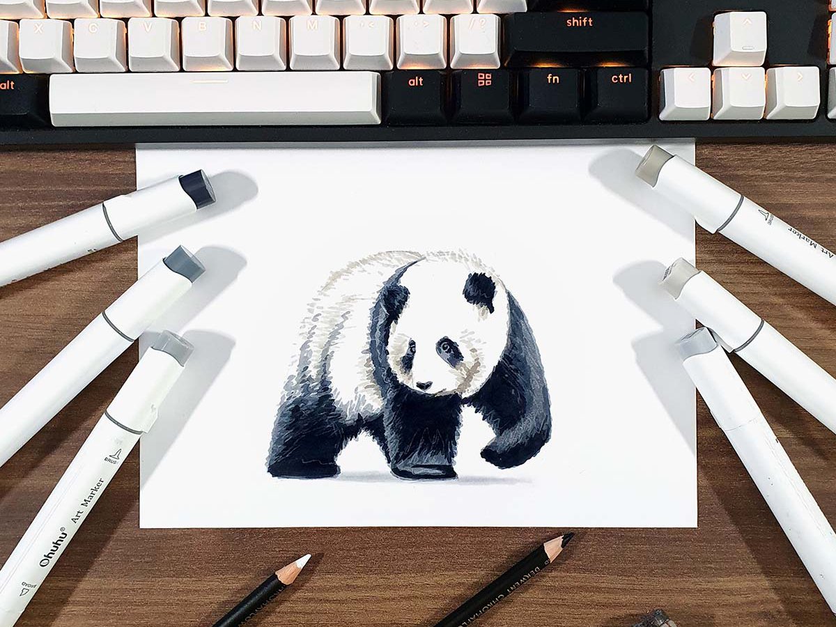easy panda drawing realistic
