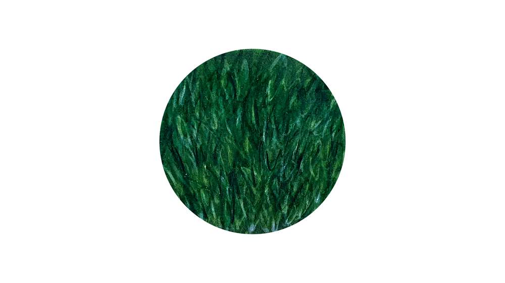 drawing grass texture step 3