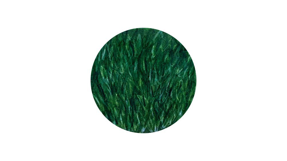 drawing grass texture step 3