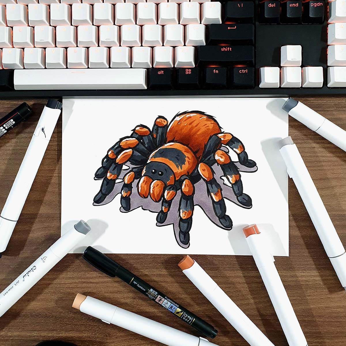 marker drawing of a tarantula spider