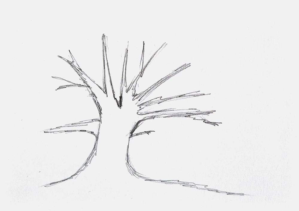 how to draw a tree