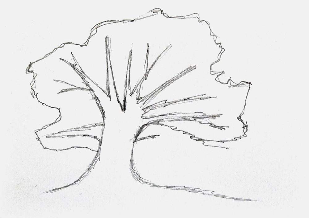 tree outline sketch