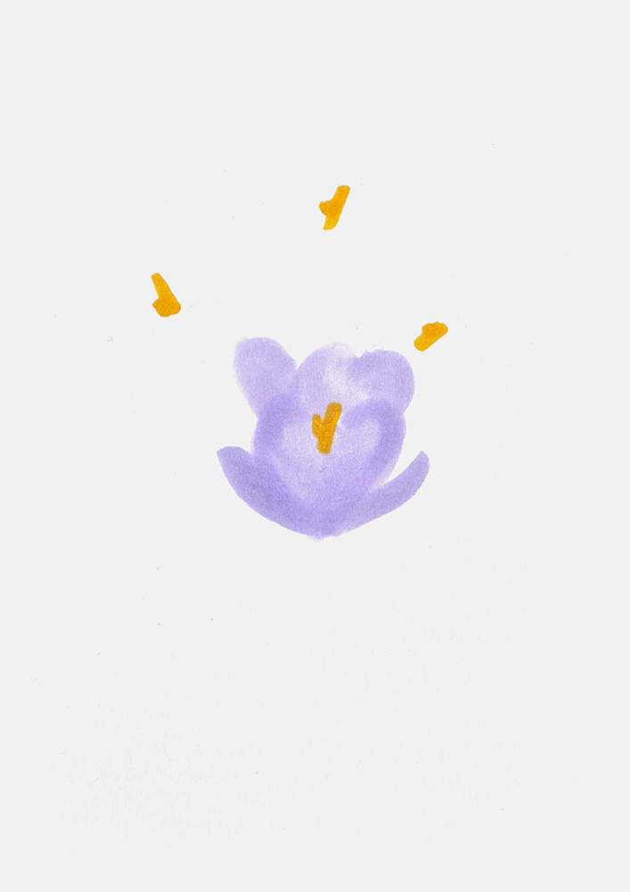 How to Draw a Crocus Flower - Easy Step by Step Tutorial