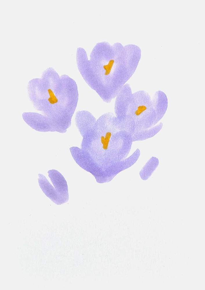 How to Draw a Crocus Flower - Easy Step by Step Tutorial