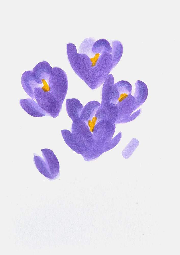How to Draw a Crocus Flower - Easy Step by Step Tutorial