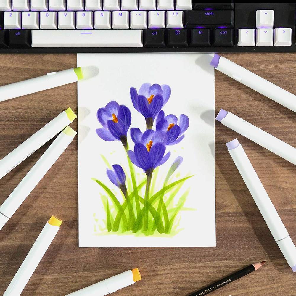 crocus drawing step by step