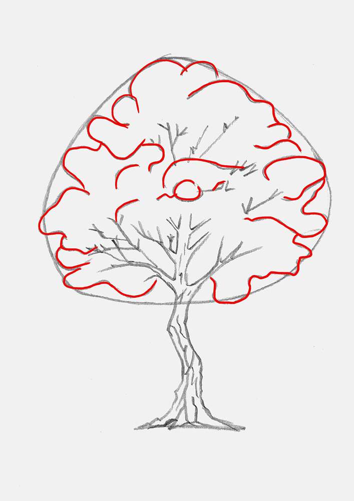Divide the canopy of then maple tree up into leaf clusters. This will make outlining and coloring it later a lot easier.
