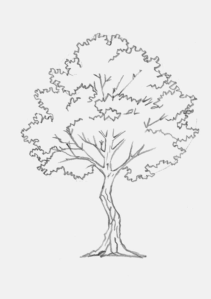Finished maple tree sketch with the zigzag leaf texture