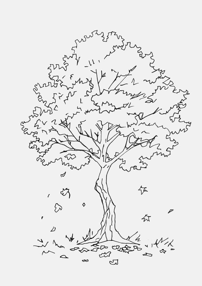 Outline your fall tree drawing with a fineliner and erase the sketch lines