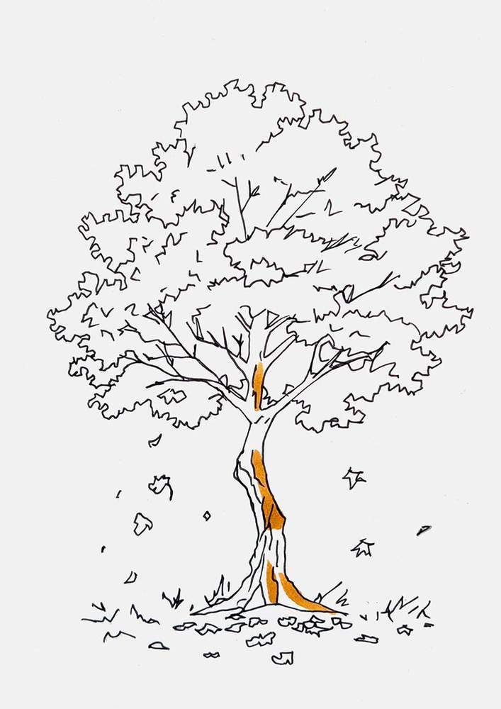 Color the lightest parts of the tree bark with light brown