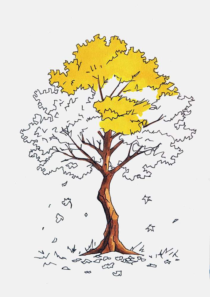 Color the leaves at the top of the maple tree yellow