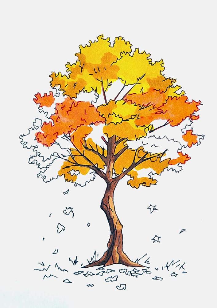 Use an orange marker to color the orange parts of the tree