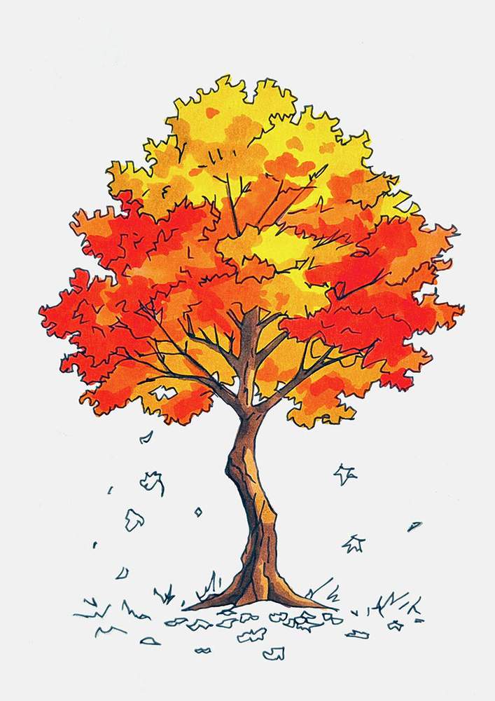 Use a red marker to color the remainder of the leaves
