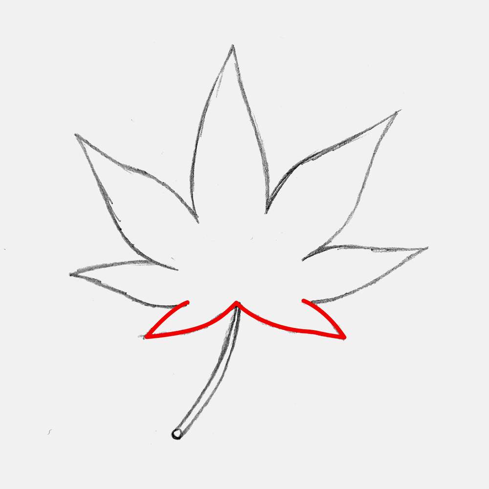Lastly, add the smallest 6th lobes on the bottom of the leaf.