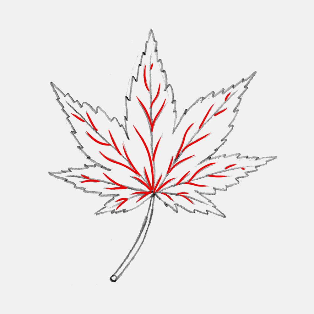 Add branching veins to the 7 main veins.