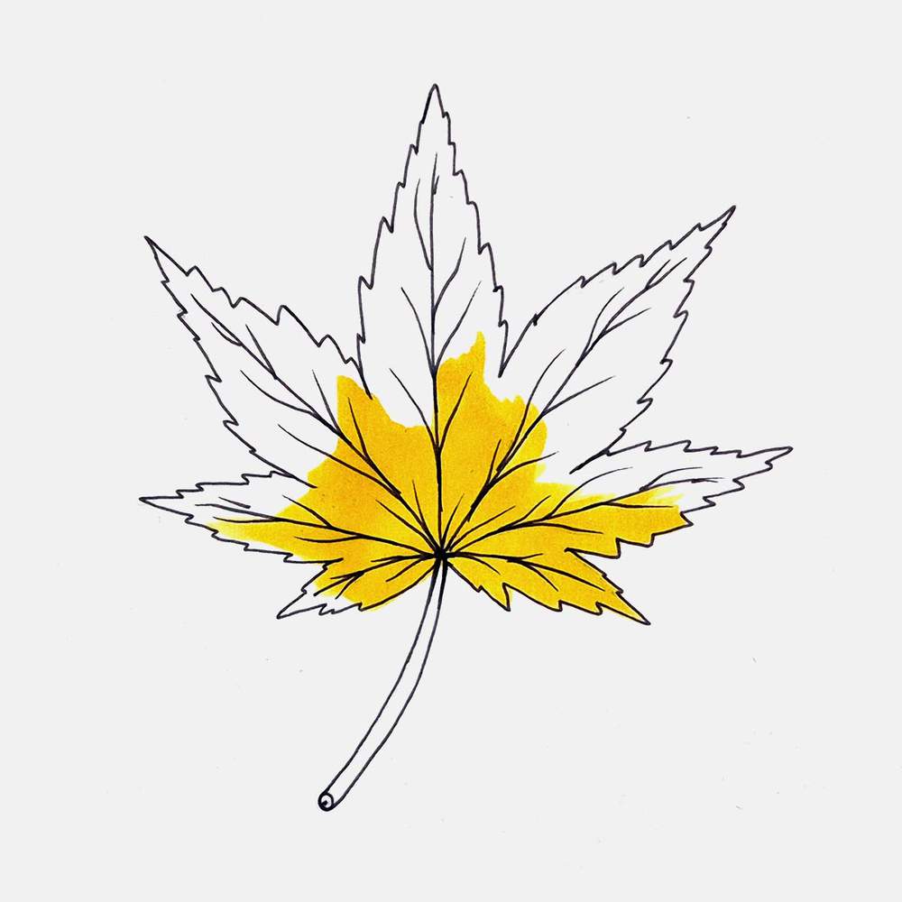 Color the center of the blade yellow.