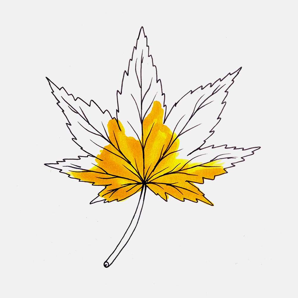 Add darker yellow shading to the center portion.