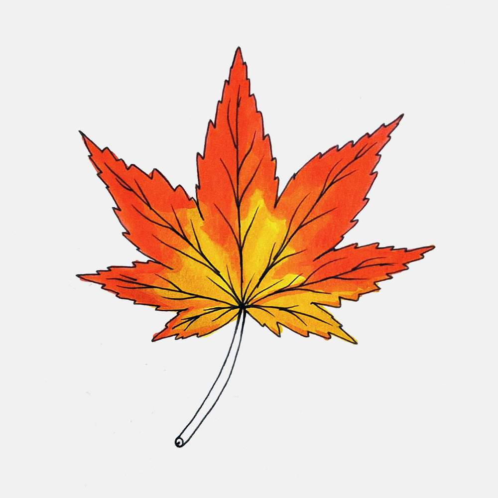 Color the rest of the maple leaf with red.