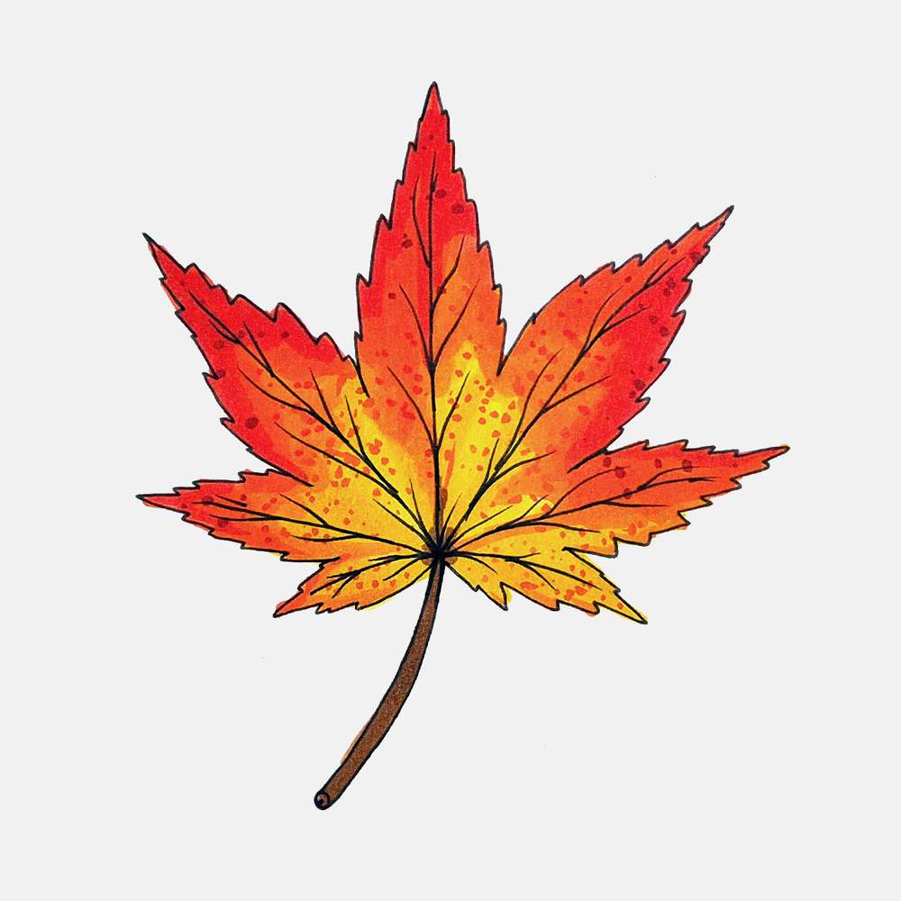 Complete your fall leaf drawing by coloring the stem of the maple leaf brown.