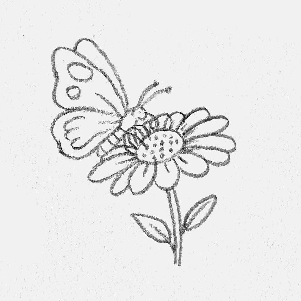 simple butterfly drawing idea
