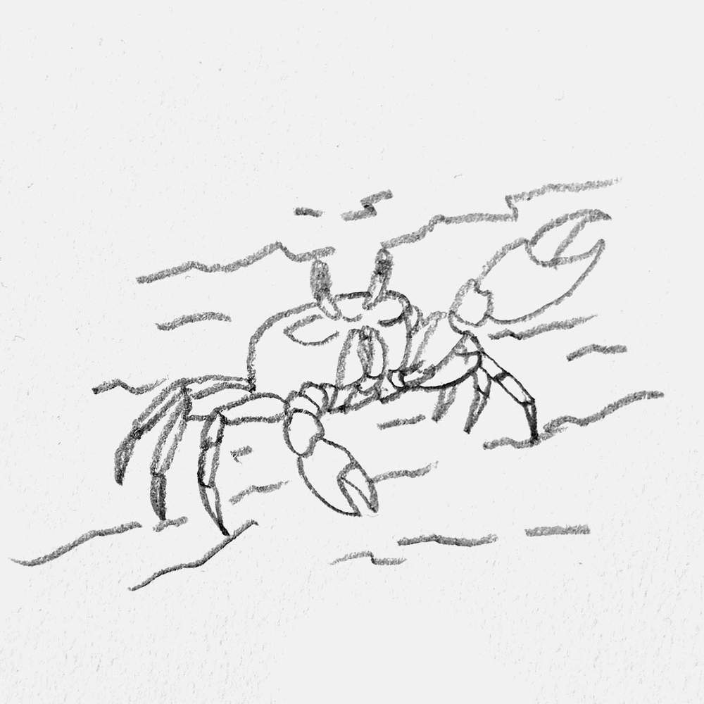 crab doodle sketch