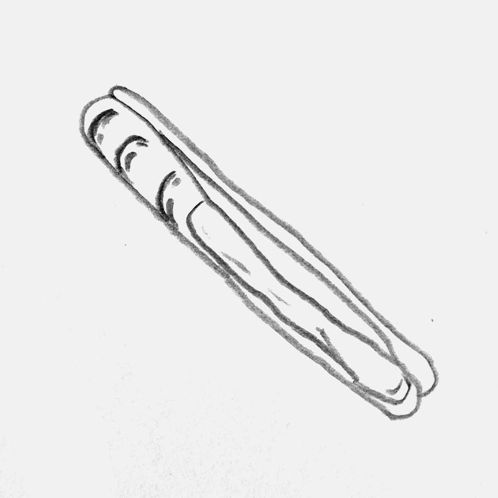 simple razor clam shell drawing