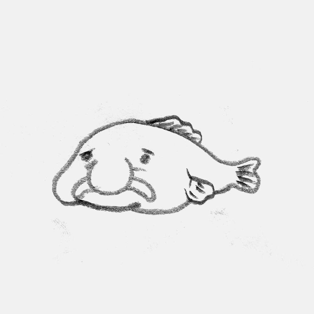 simple pencil drawing of a blobfish