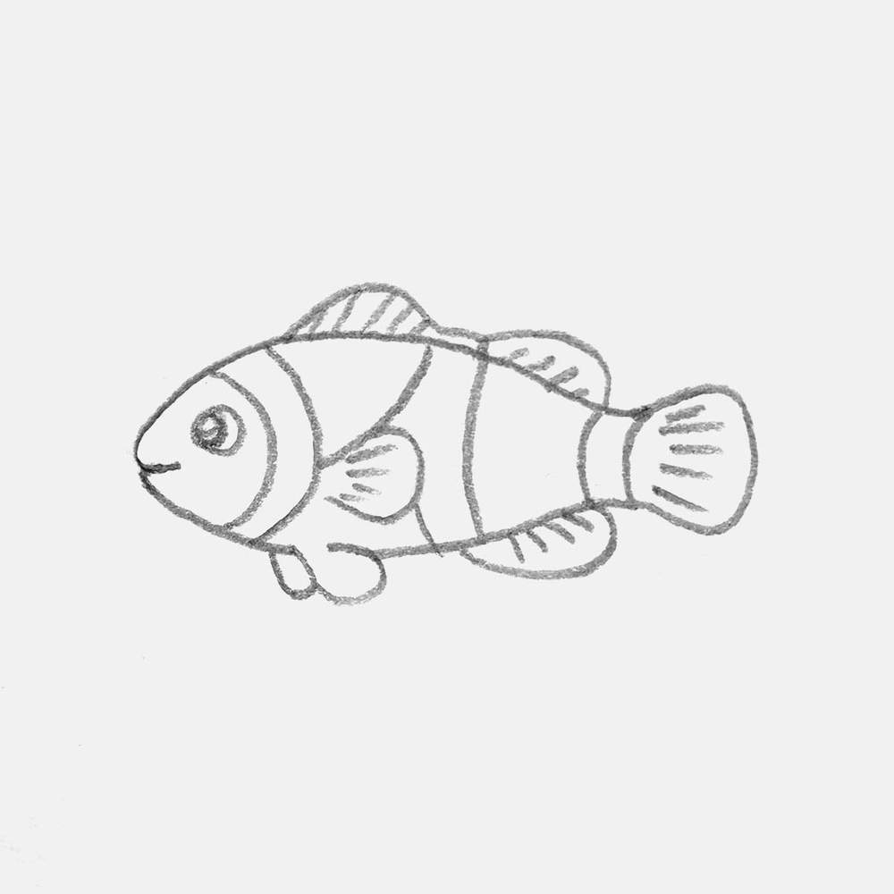 simple pencil drawing of a clownfish