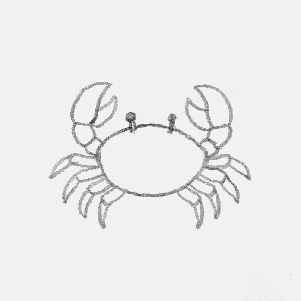 simple pencil drawing of a crab