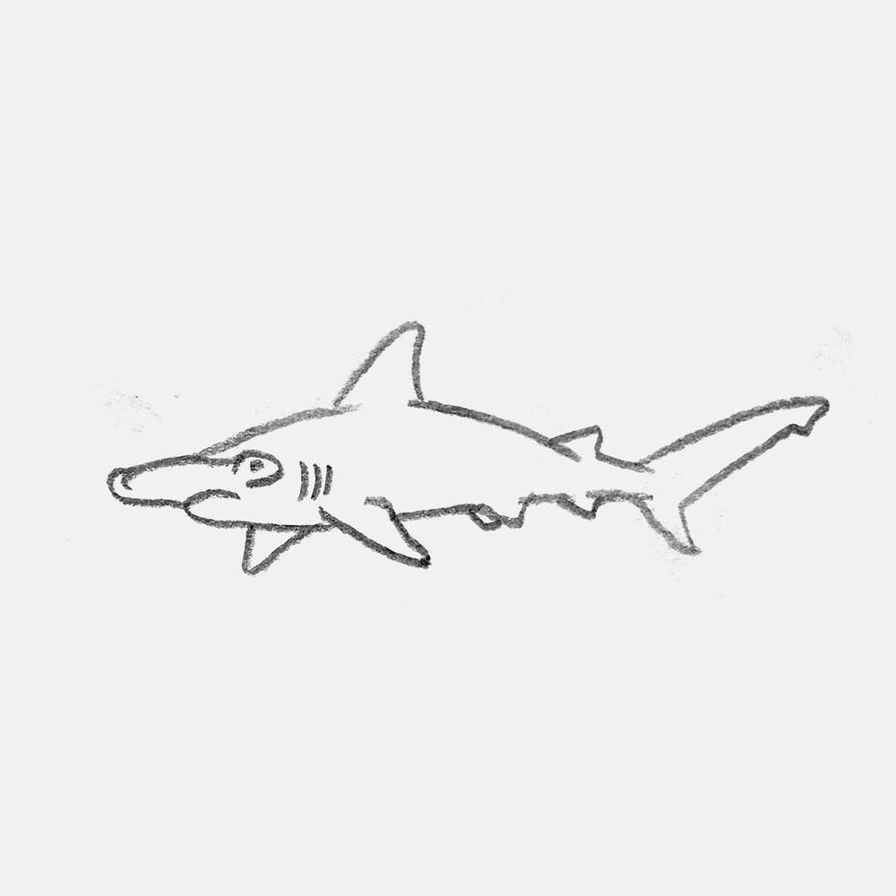 simple pencil drawing of a hammerhead shark