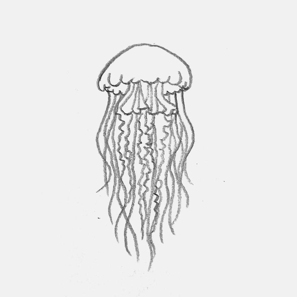 simple pencil drawing of a jellyfish