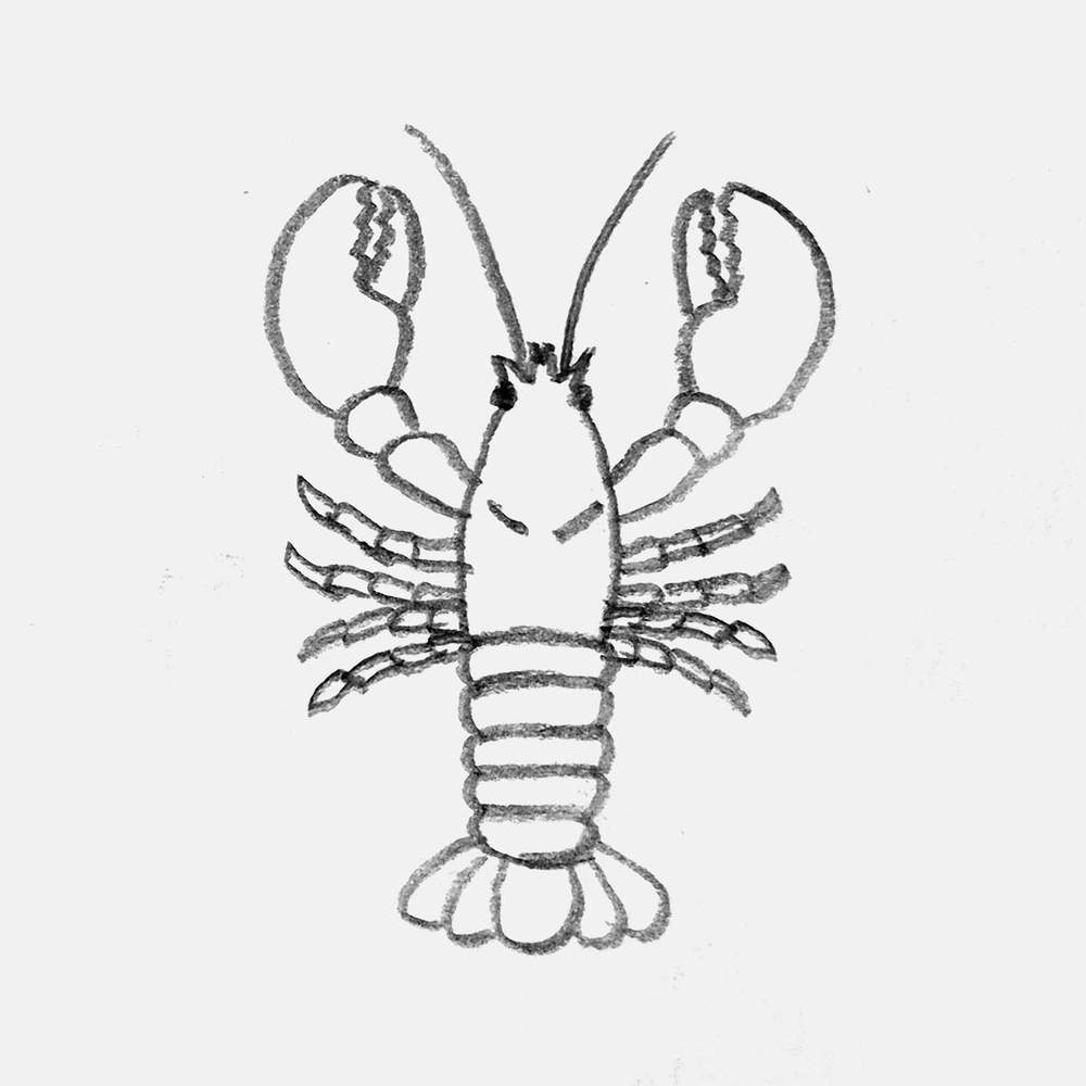 simple pencil drawing of a lobster