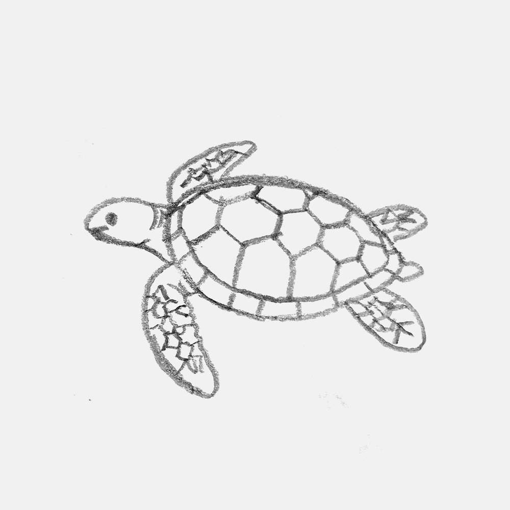 simple pencil drawing of a sea turtle