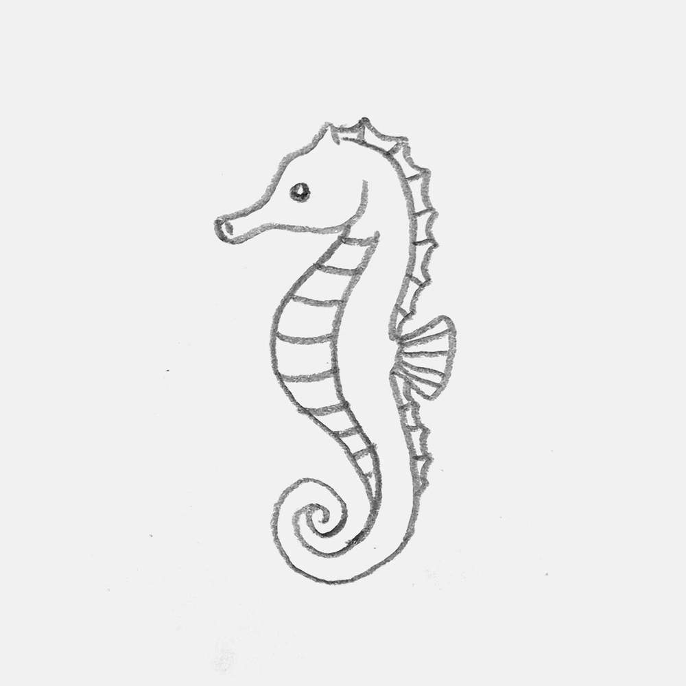 simple pencil drawing of a seahorse