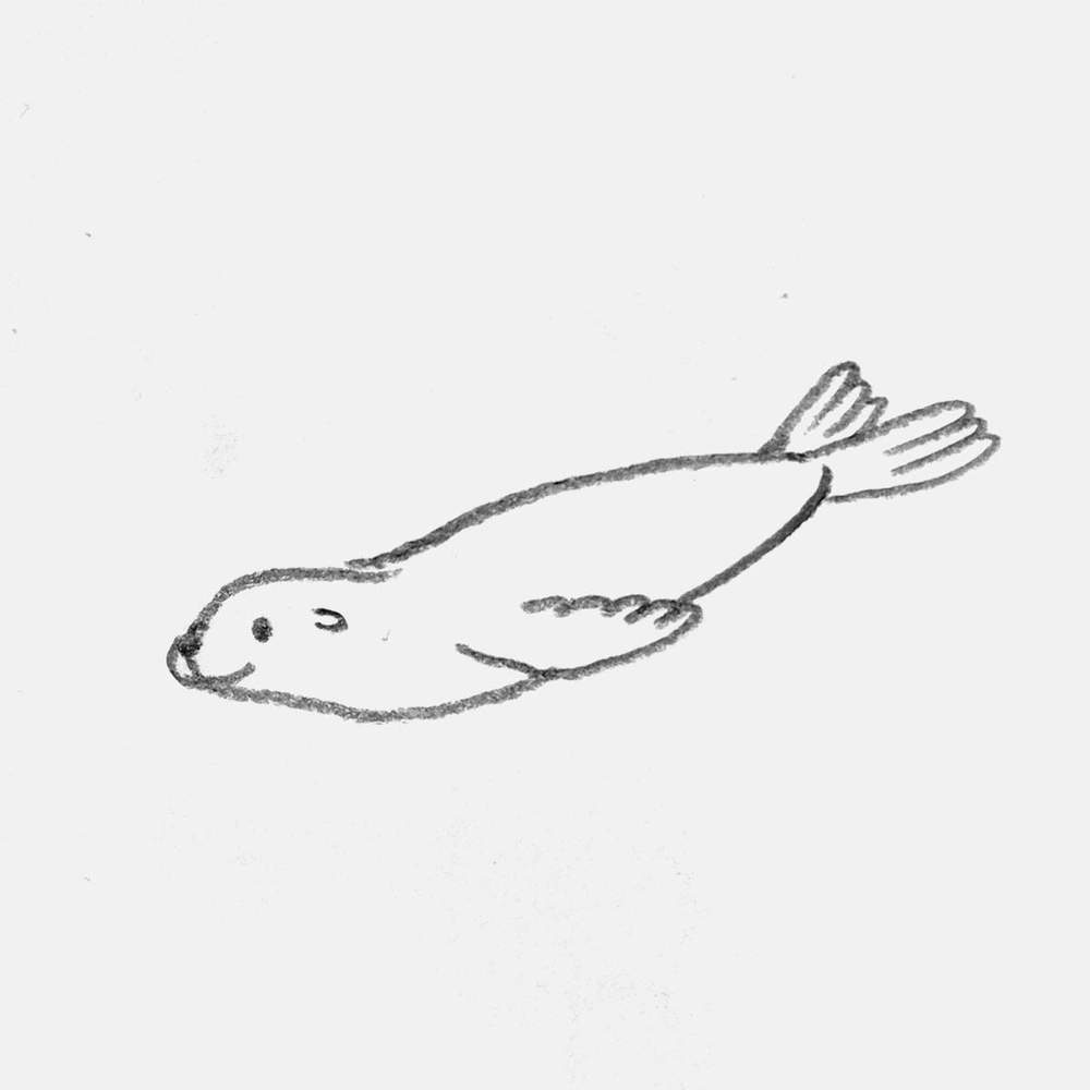 simple pencil drawing of a seal