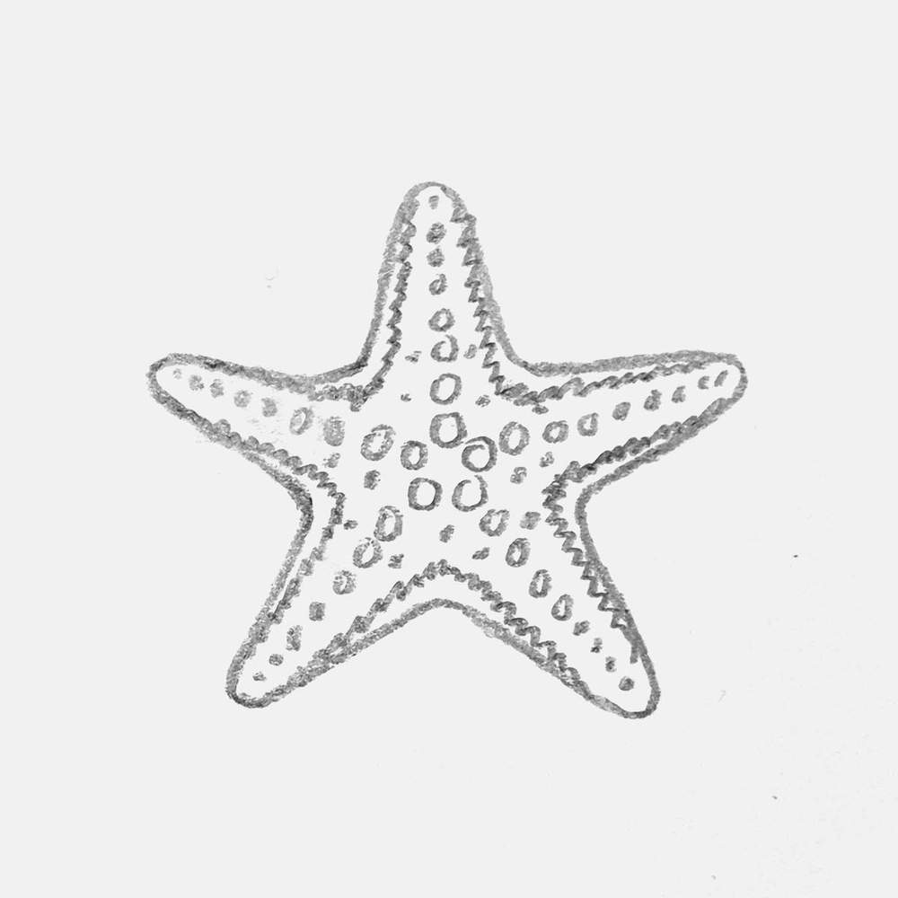 simple pencil drawing of a starfish