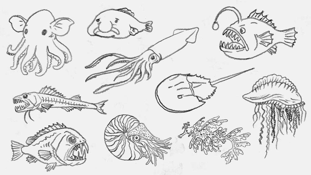 sea creature drawing ideas